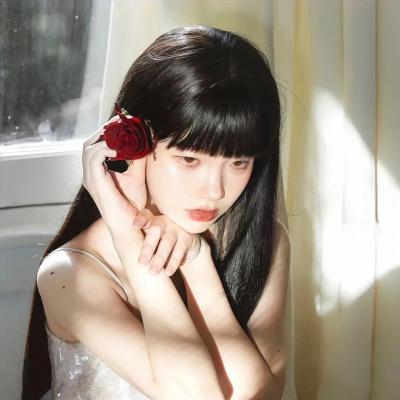 大侦探波洛第一季