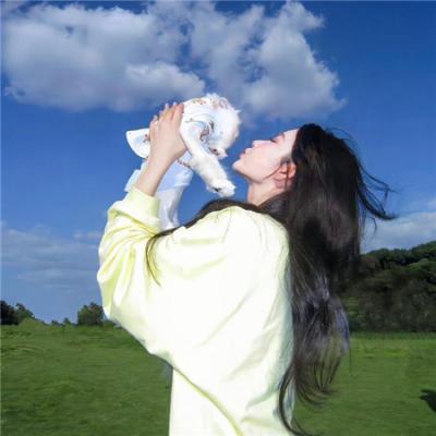 你的谎言也动听